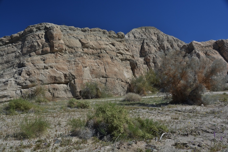 the Mecca Hills